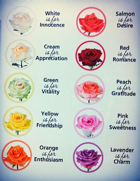 The mystical meanings behind different varieties of roses near me